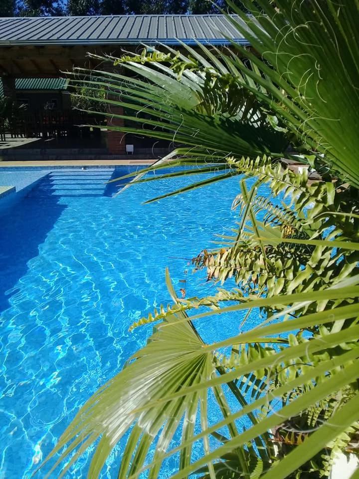 Cabanas Y Boungalow Don Oscar Hotell Encarnación Exteriör bild